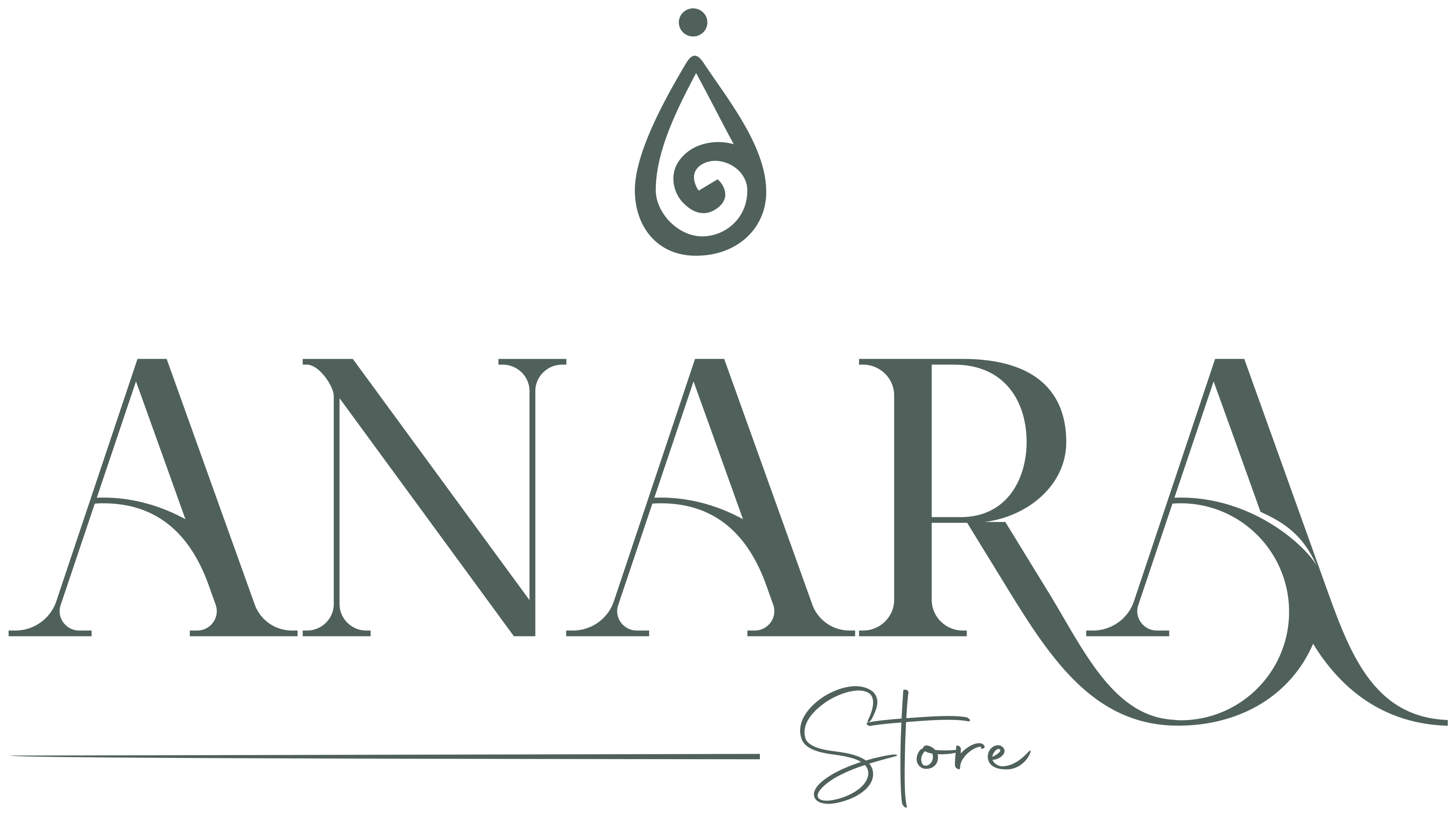 Anara Store